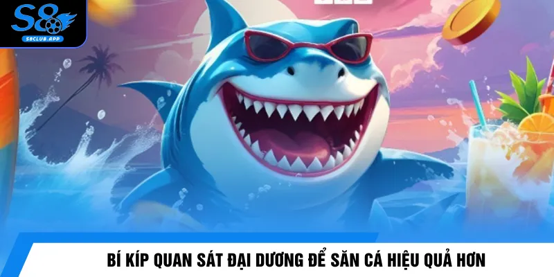 Bí kíp quan sát đại dương để săn cá hiệu quả hơn