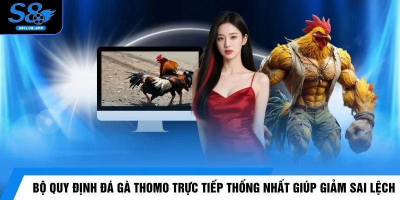 Bộ quy định đá gà Thomo trực tiếp thống nhất giúp giảm sai lệch