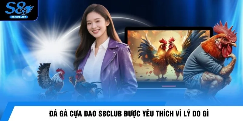 Đá gà cựa dao S8CLUB được yêu thích vì lý do gì