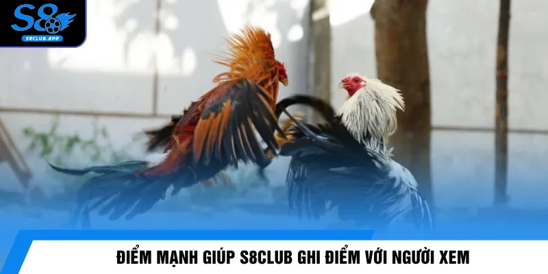 Điểm mạnh giúp S8CLUB ghi điểm với người xem