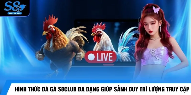 Sảnh đá gà S8CLUB giúp giảm thao tác dư thừa khi tham gia 40%