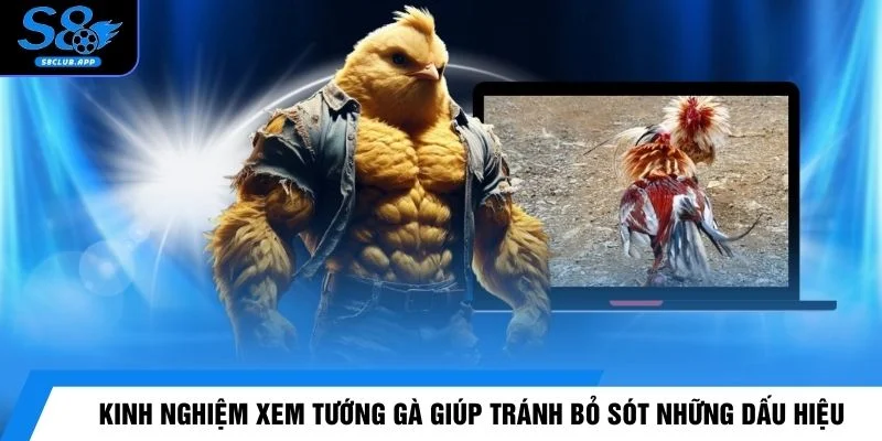 Kinh nghiệm xem tướng gà giúp tránh bỏ sót những dấu hiệu