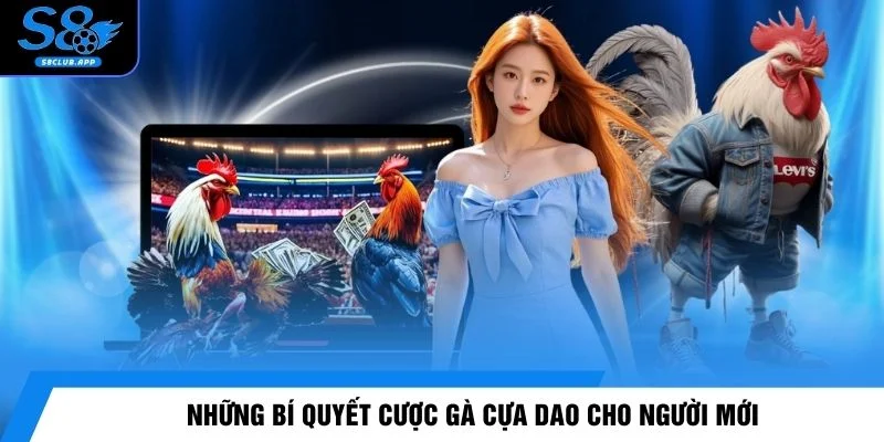 Những bí quyết cược gà cựa dao cho người mới